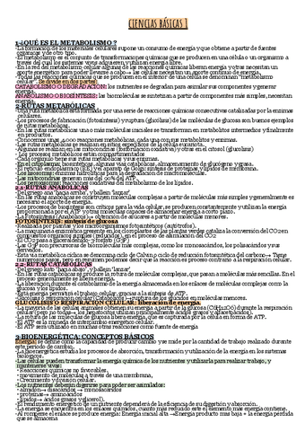 TEMA-10-METABOLISMO.pdf