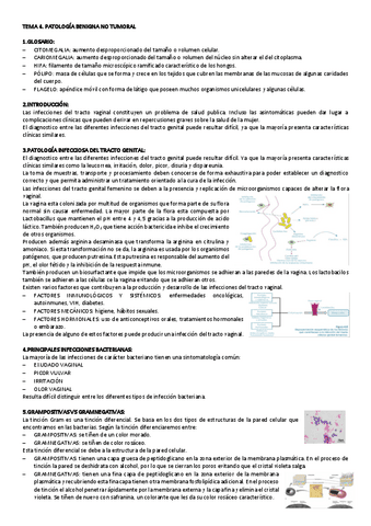 TEMA-4-CITO-GINE.pdf