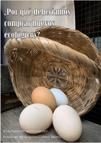 Trabajo-investigacion-huevos-ecologicos.pdf