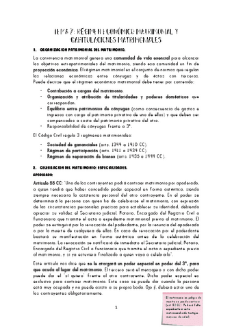 TEMA-7-CIVIL-III.pdf