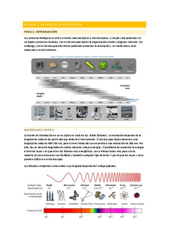 BLOQUE-3.-Microscopia-electronica.pdf