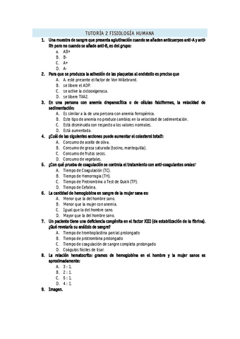 Tutoria-2-2023.pdf