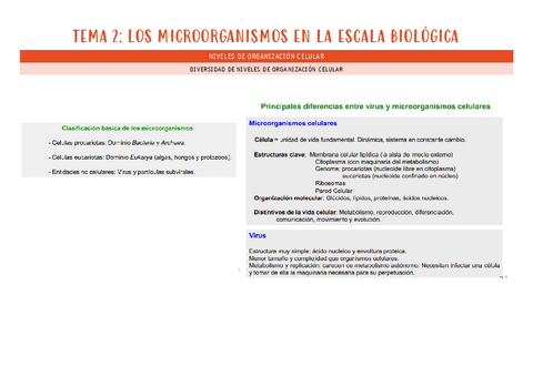 micro-tema-2.pdf