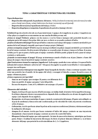 Apuntes-completos-voleibol.pdf