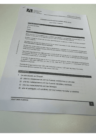 Recuperacion-anatomia.pdf