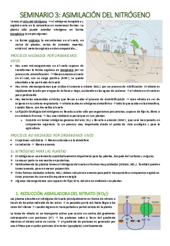 SEMINARIO-3-Asimilacion-del-nitrogeno.pdf