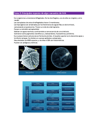 Tema-9-salud-y-botanica.pdf