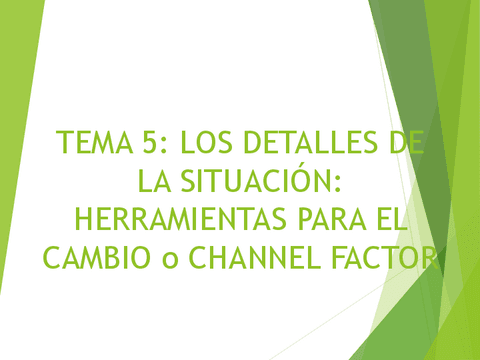 TEMA-5.Channel-factor.pdf