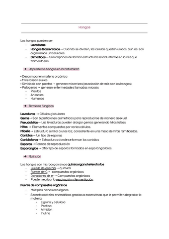 Hongos.pdf