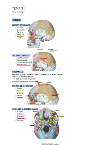 TEMA-3-II.pdf