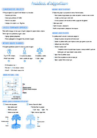 Apunts-analisis-objectius.pdf
