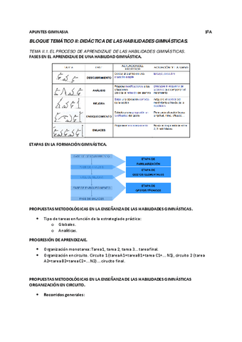 Apuntes-gimnasia-tema-2.pdf