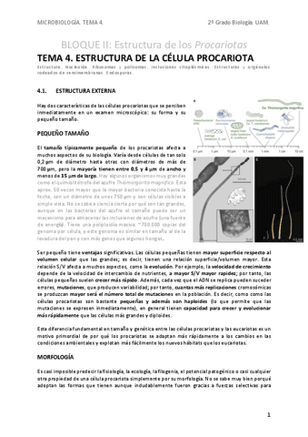 MICROApT4.-Estructura-de-la-celula-procariota.pdf