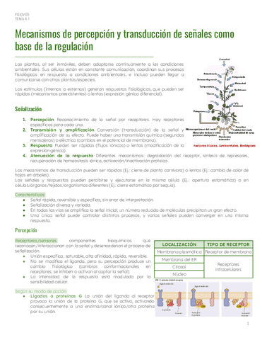 PAR2Tema-4.1-Senalizacion.pdf