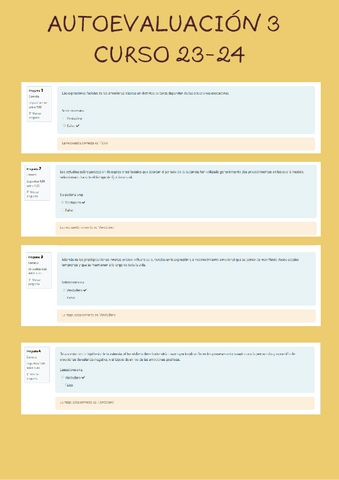 AUTOEVALUACION-3-CURSO-23-24.pdf