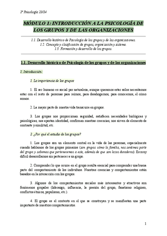 Modulo-1-INTRODUCCION-A-LA-PSICOLOGIA-DE-LOS-GRUPOS-Y-DE-LAS-ORGANIZACIONES..pdf
