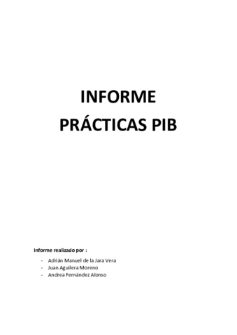 INFORME PIB.docx.pdf