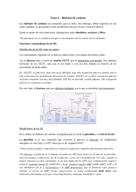 Tema 4 - Hidratos de carbono.pdf