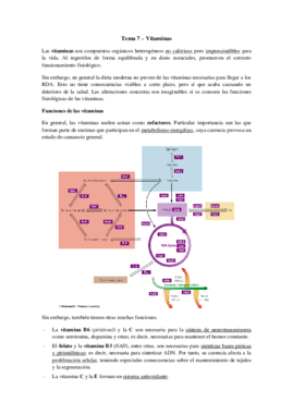 Tema 7 - Vitaminas.pdf