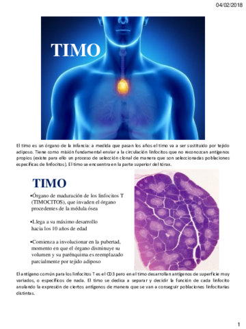 TEMA 5_TIMO..pdf