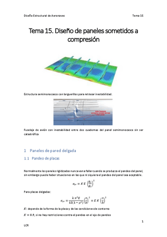Tema-15.-Diseno-de-Paneles-Sometidos-a-Compresion-DEA.pdf