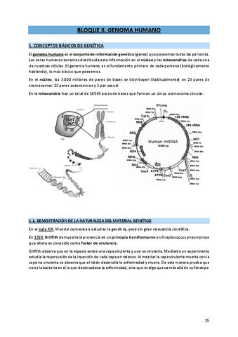 2. Genoma humano.pdf