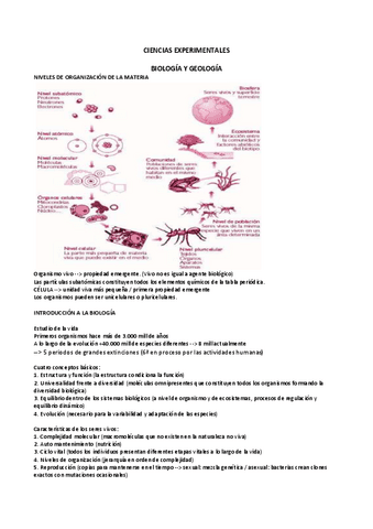 CIENCIAS-EXPERIMENTALES-2o-APUNTES.pdf