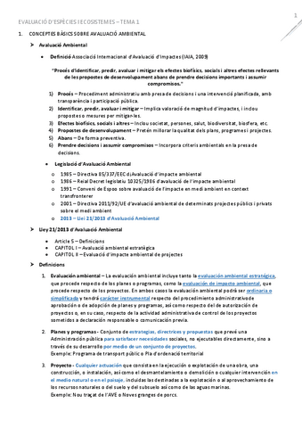T1ConceptesEIA.pdf