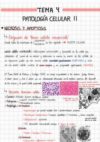 TEMA-4-ANATOMIA-PATOLOGICA231117200358.pdf