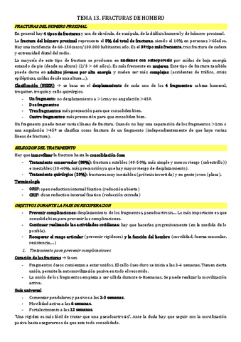 tema-13.-fx-hombro.pdf