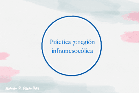 Practica-7-region-inframesocolica.pdf