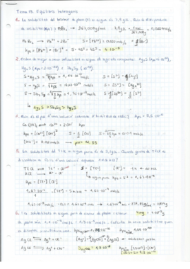 Problemes Tema 13.pdf