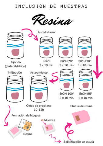 Inclusion-de-muestras-en-resina-1.pdf