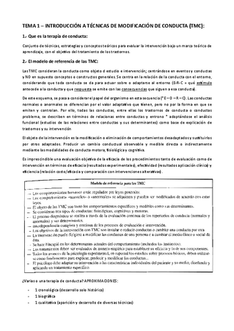 TEMA-1-CAP-1.pdf