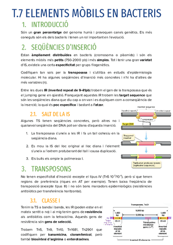 T.7-ELEMENTS-MOBILS-EN-BACTERIS.pdf