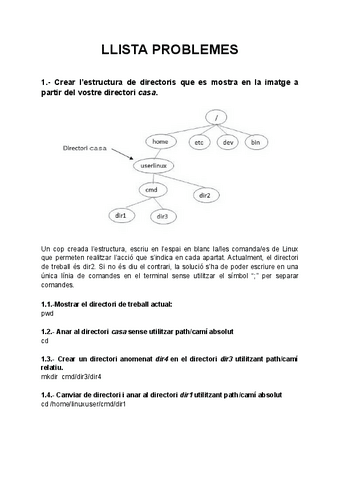 Solucions-Linux-Comandes.pdf