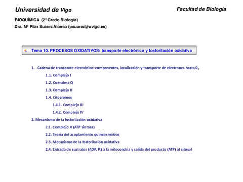 Tema-10.-Cadena-transporte-eletronico-y-fosforilacion-oxidativa.pdf