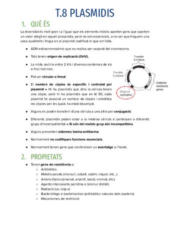 T.8-PLASMIDIS.pdf