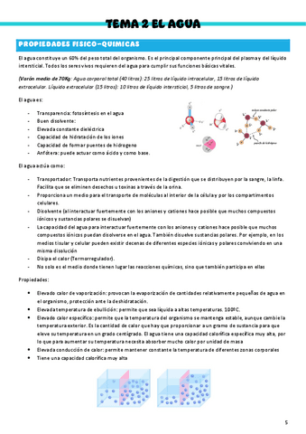 Bioquimica-T2.pdf