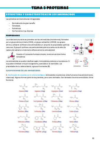 Bioquimica-T3.pdf