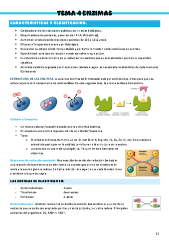 Bioquimica-T4.pdf