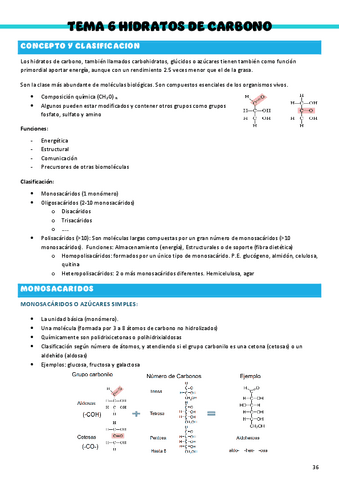 Bioquimica-T6.pdf