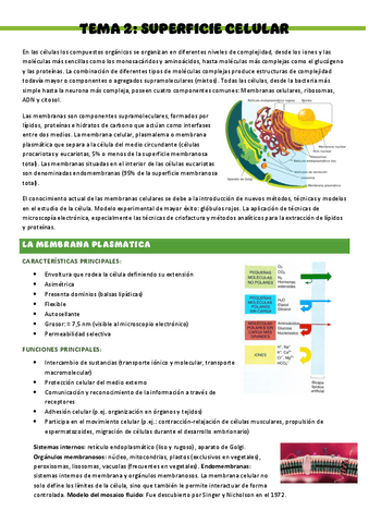 Biologia-T2..-Superficie-celular.pdf