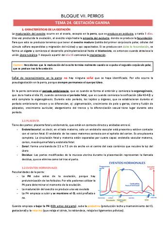 TEMAS-24-28-CARNIVOROS.pdf