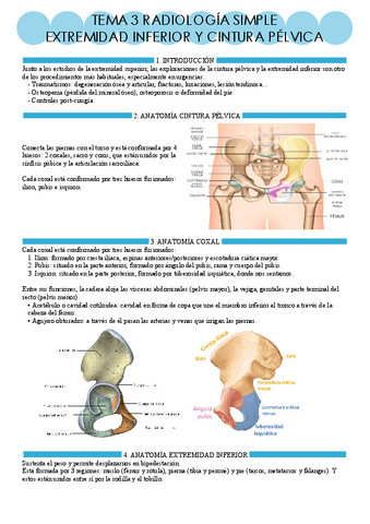 R. Simple tema 3.pdf
