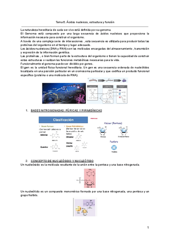 Tema-6.-Acidos-nucleicos-estructura-y-funcion-1.pdf