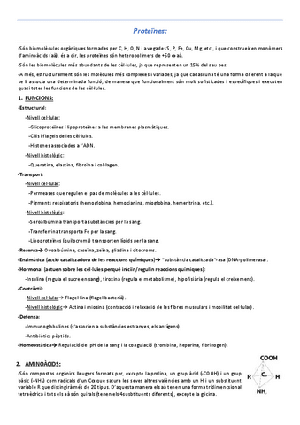 T2-Proteines.pdf