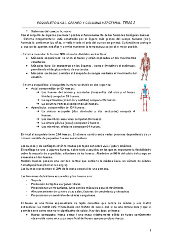 Tema-2-.-ESQUELETO-AXIAL-CRANEO-Y-COLUMNA-VERTEBRAL-1.pdf