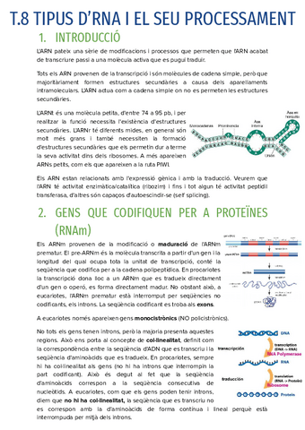 T.8-TIPUS-DRNA-I-EL-SEU-PROCESSAMENT.pdf