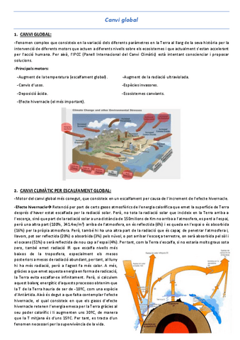 T11-Canvi-global.pdf